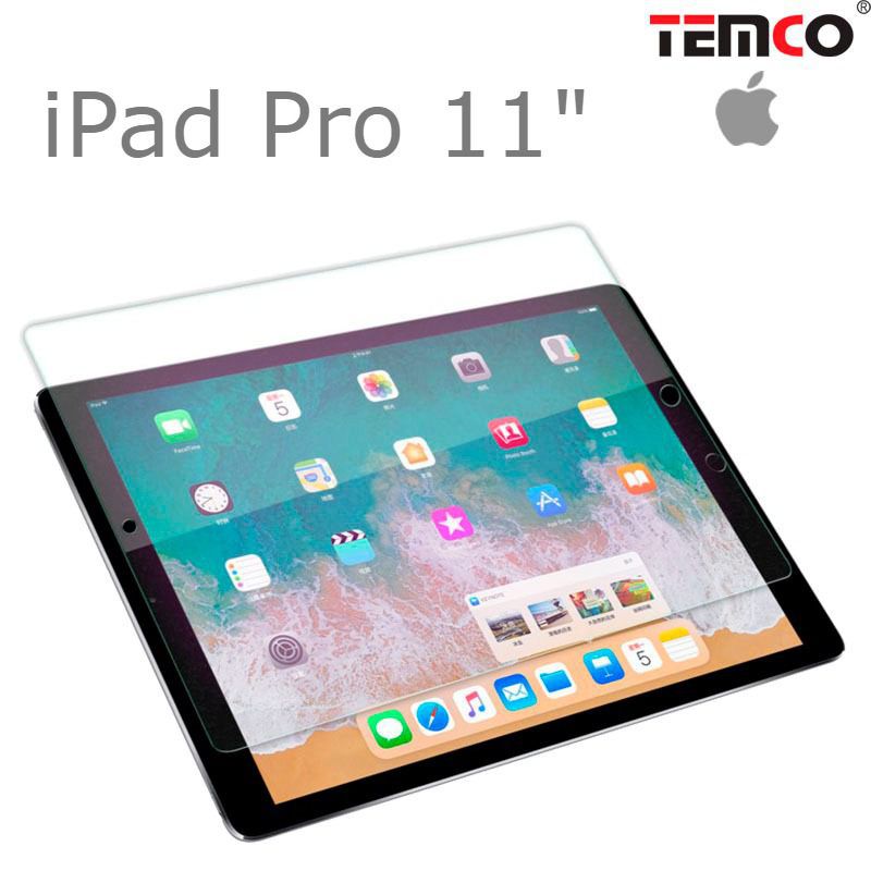 Cristal iPad Pro 11"